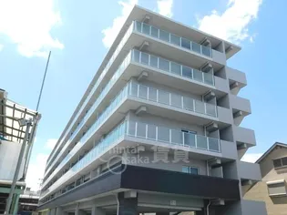 LANI TOYONAKAの画像