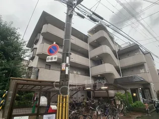 メゾンエルセビアの画像