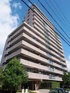 メイツ南千里の画像