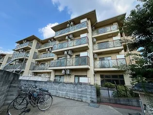 センチュリーショウエイVIIの画像