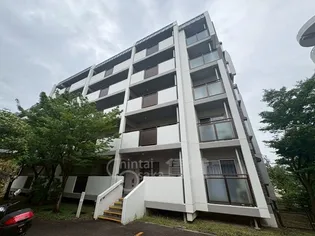 アルビス五月ヶ丘109号棟の画像