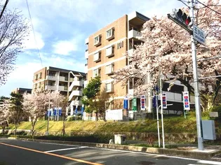 アルビス五月ヶ丘109号棟の画像