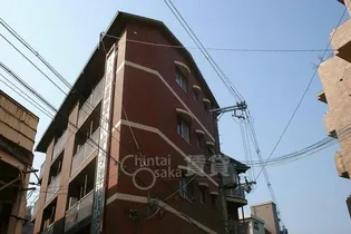 グリーンエクセルの画像