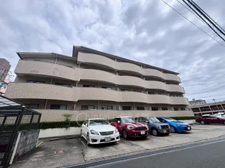 FLORAL IZUMIの画像