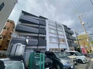 ADVANCE HOSOKAWA6の画像