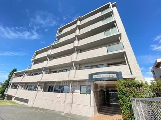 スプリングヒルズⅢの画像