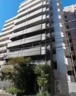 Y&ELFの画像