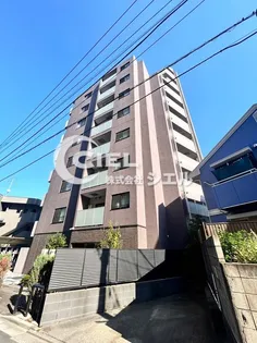 DIPS小竹向原の画像