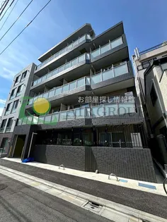 MAXIV蓮根の画像