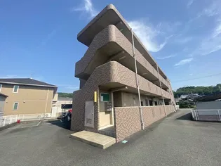 フルーエントIVの画像
