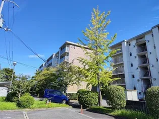 Aマンション5号棟の画像