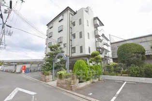 エバーグリーンの画像