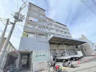 コウジィコート菅原の画像