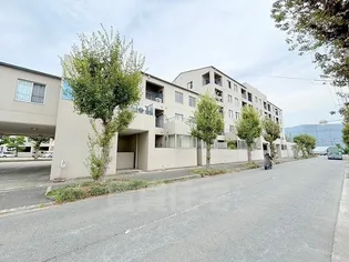 八尾南ハウスB棟の画像