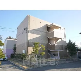 グレイスナルミの画像