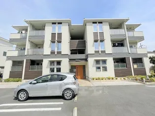 グレイスの画像