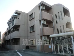 プティリヴィエールの画像