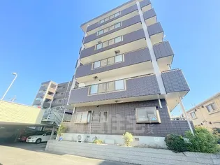 マロード月輪の画像