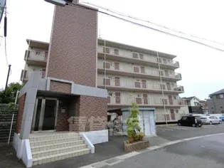 ベルヴィ大将軍の画像