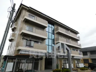 グラッドピネの画像