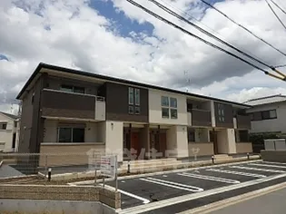 バンブーアンの画像