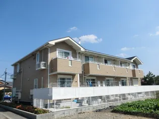 プラシードの画像