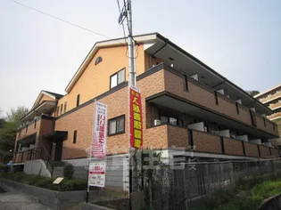 シェーンタール須磨の画像