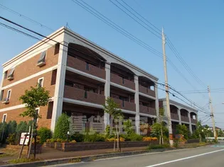 プラムガーデンの画像