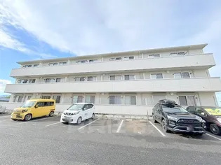 セヴェルSETAⅣの画像