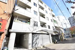 グレースサカイの画像