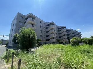 新大宮ハイタウンF棟【1階】の外観