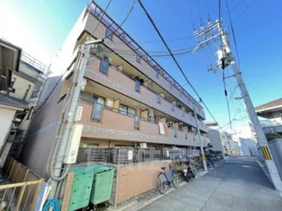 プルメリアの画像