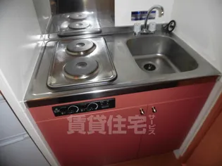 レオパレス松川【2階】のキッチン