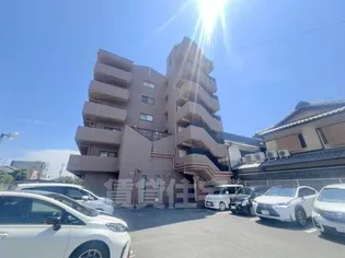 サウスビンの画像