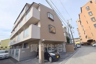 トレイズの画像