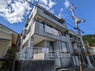 グレーシー原谷の画像