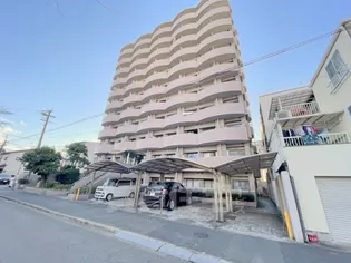 朝日プラザ高瀬川(タカセガワ)【8階】の外観