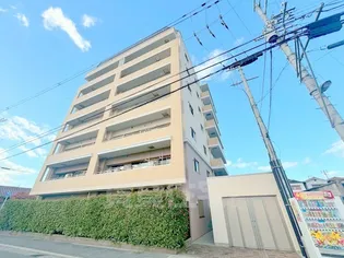 プライムの画像