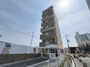 AMBELLIRの画像