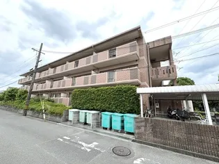 メゾン ド シエルの画像