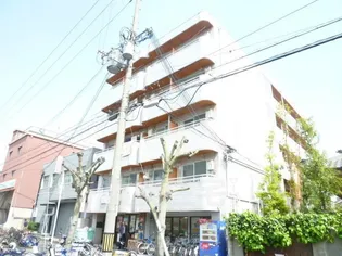 少林寺TKハイツ【2階】の外観