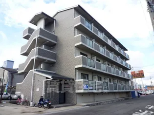 エステーラの画像