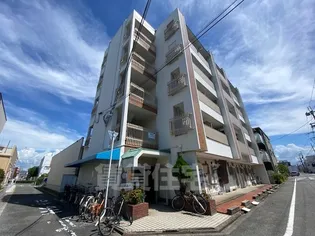 コーポ青木【5階】の外観