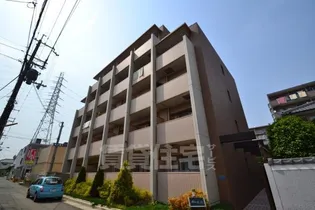 ソレアード アビの画像