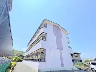 ブライトソレム3の画像