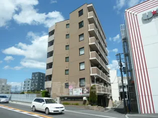 ソフィアコートの画像