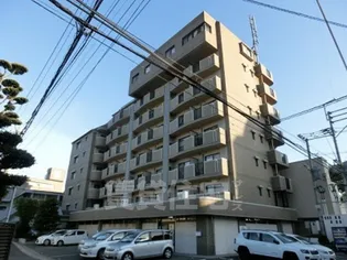 コスモコートの画像