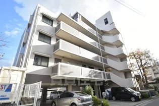 大阪府堺市堺区神南辺町1丁【マンション】の外観