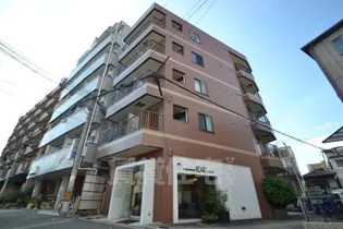 アルファコートの画像