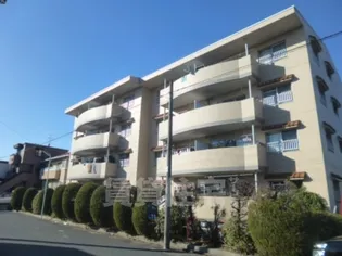 関取ハイムの画像